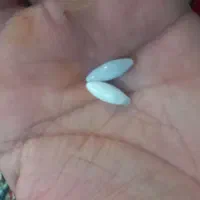 مهر خرز نیبان الحیه ،