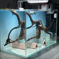 ماهی وآکواریوم(مستر دیسکس)|ماهی|تهران, باغ خزانه|دیوار