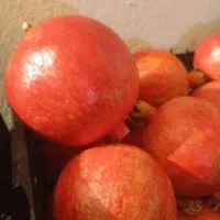 فروش انار درجزین (درجه یک)