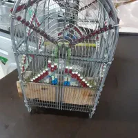 قفس دست بافت فنری