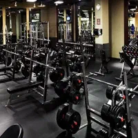 مدیر داخلی باشگاه ورزشی آقایان