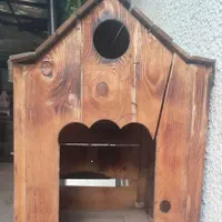 لونه سگ جنس ام دی  اف