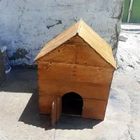 کلبه (خونه) گربه یا سگ