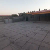 دامداری نیمه صنعتی / پرواربندی|اجارهٔ دفتر صنعتی، کشاورزی، تجاری|چناران, |دیوار