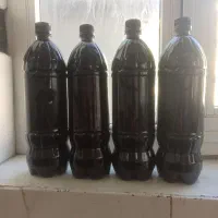 شیره درخت بلوت