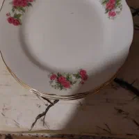 کاسه و بشقاب گل سرخی
