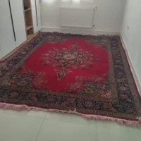 فرش دست بافت قدیمی|فرش|سنندج, |دیوار