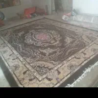 قالی ۱۲متری فرش گردویی