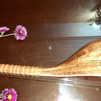 سه تار مدل ماهان ویژه|سازهای سنتی|تهران, پونک|دیوار