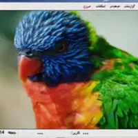 برنامه حسابداری وشارژ اپارتمان(عمارت)