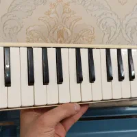 ارگ بادی قدیمی|کلکسیون اشیاء عتیقه|زنجان, |دیوار