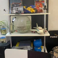 سرویس خواب پسرانه|تخت و سرویس خواب|مشهد, زمانه|دیوار