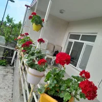 فروش خانه ویلایی حویق (نصرت آباد)