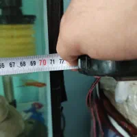 آکواریوم|ماهی|ماکو, |دیوار