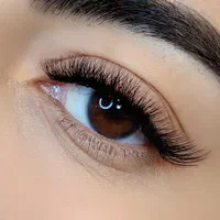 خدمات مژه|خدمات آرایشگری و زیبایی|تهران, سازمان برنامه شمالی|دیوار