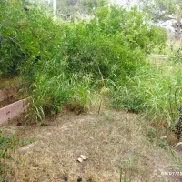 باغ باغچه ۶۵۰ متری نظام آباد خیابان درختی|فروش زمین و ملک کلنگی|اسلام‌شهر, کاشانک|دیوار