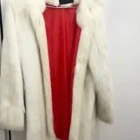 پالتو نو
