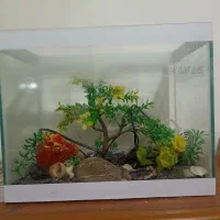 آکواریوم با همه وسایل تزئینی و پمپ