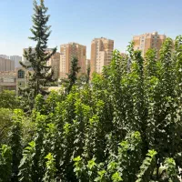 88-متر-دو-خواب