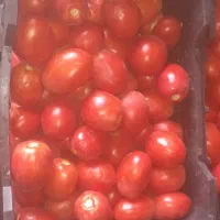 گوچه|خوردنی و آشامیدنی|شراء, |دیوار