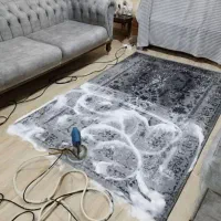 مبل شویی