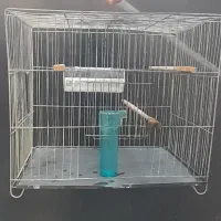 ۳ عددقفس پرنده|لوازم جانبی حیوانات|قائمشهر, |دیوار