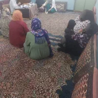 دعا|فعالیت داوطلبانه|قم, آذر (نکویی)|دیوار