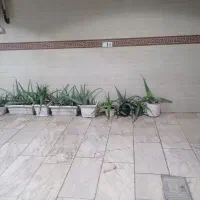 جویای کار نگهبانی و سرایداری هستم جویای کار