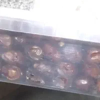 خرمایی خاصوی|خوردنی و آشامیدنی|شیراز, مسلم|دیوار