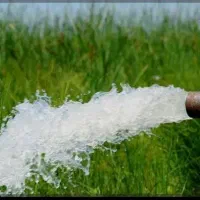 دوازده دقیقه آب ریشه ای...هم ۵ دقیقه .۷دقیقه