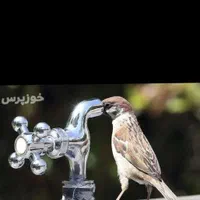 لوله کشی آب وفاضلاب سردوگرم لوله کشی کامل آپارتمان|خدمات پیشه و مهارت|همدان, |دیوار