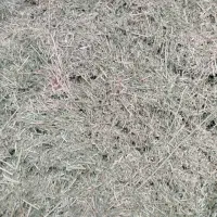 یونجه|خدمات باغبانی و درختکاری|دیواندره, |دیوار