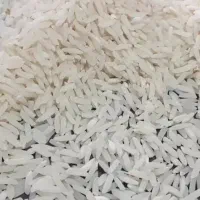 فروش عمده برنج آستانه گیلان