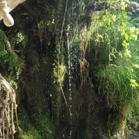 کوهنورد
