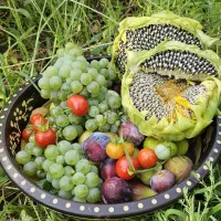 نگهبان خونه روستایی