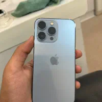 13 pro 256