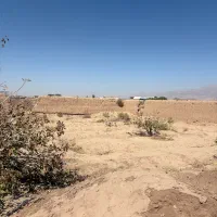 زمین پسته ای در محدوده فتح اباد شهرستان زرند|فروش زمین و ملک کلنگی|زرند, |دیوار