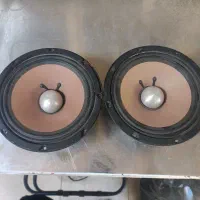 2جفت میدرنج سایز 8