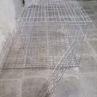 قفس