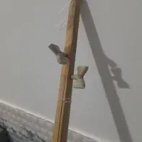 دوتار یک تیکه ساخت تربت جام|سازهای سنتی|تربت جام, اسماعیل آباد|دیوار