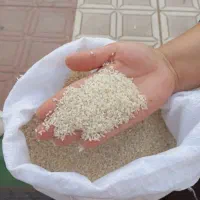 برنج (فجر سوزنی وطارم) شمال ب شرط پخت