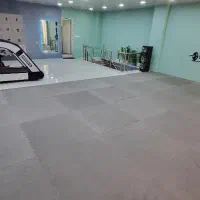 کاراته شین کیوکوشین