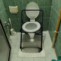 یک عدد توالت فرنگی سیار