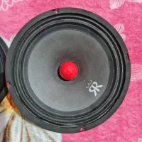 دوعدد باند میدرنج دریفت درحد نو