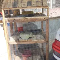 جفتگاه کبوتر ۳طبقه|لوازم جانبی حیوانات|فسا, |دیوار