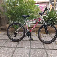 دوچرخه ویوا پاریس سایر 26