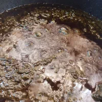 ترش‌واش خوش‌عطر و قورمه‌سبزی محلی