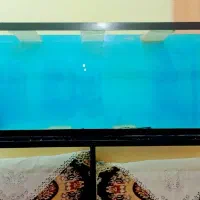 اکواریوم دومتری