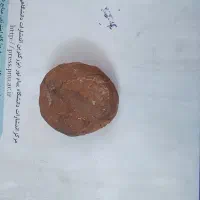 سنگ فسیل