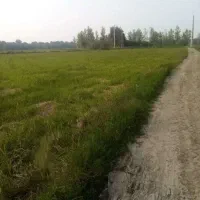 زمین-باغی-750بیضاهرابال